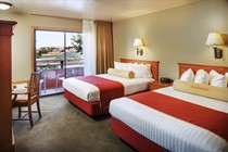 Lake Powell Resort Marina View Room